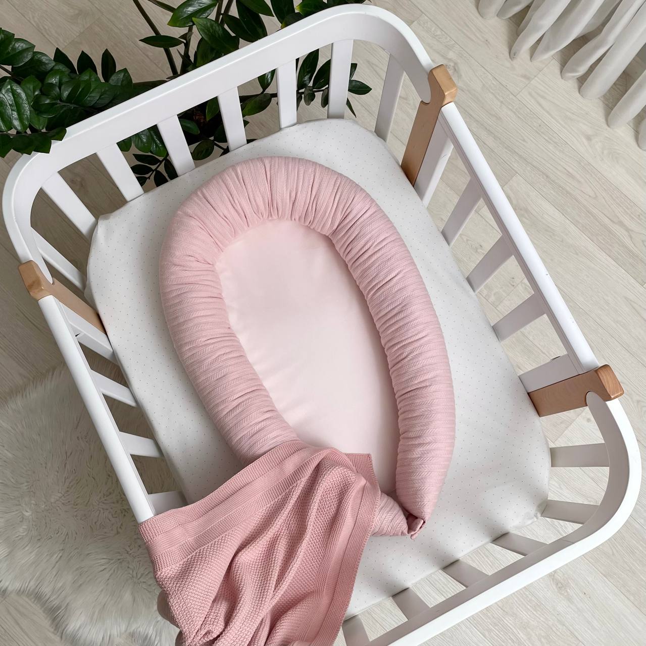 COCON Msonya "Dream Land" Rose